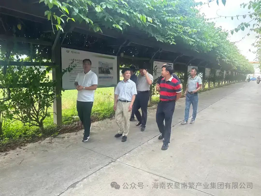 圖片.png
