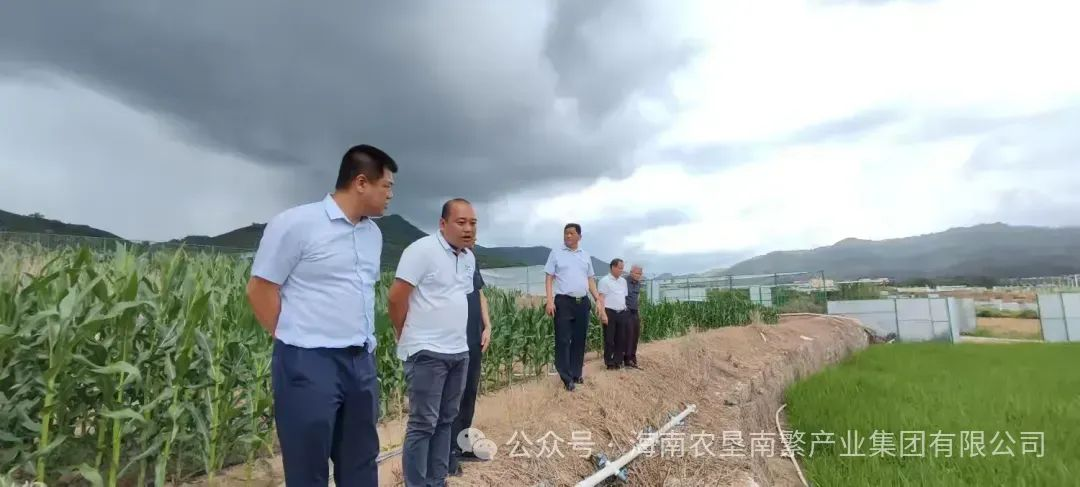 圖片.png